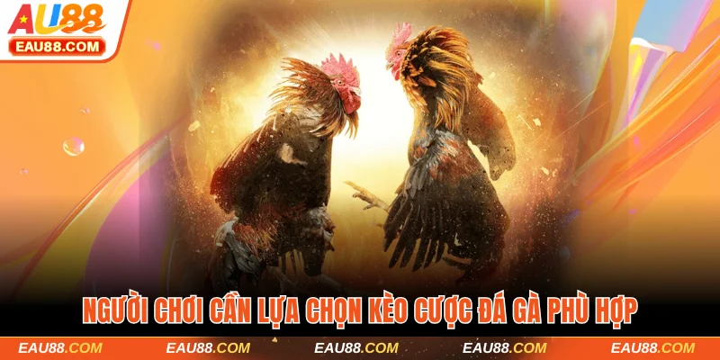 Người chơi cần lựa chọn kèo cược đá gà phù hợp