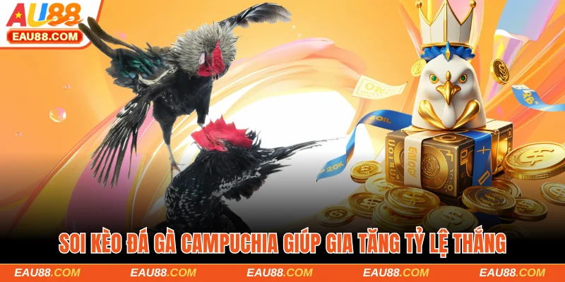 Soi kèo đá gà Campuchia giúp gia tăng tỷ lệ thắng